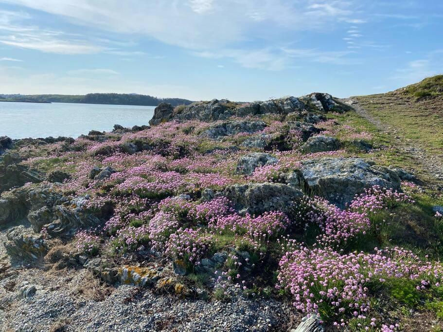 Entire Guest Suite In Four Mile Bridge, Rhoscolyn Valley Bagian luar foto